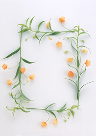 花环花篮花框唯美图片