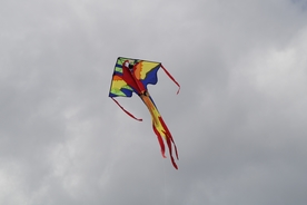 风筝纸鸢鹞子图片