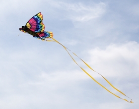 风筝纸鸢鹞子图片