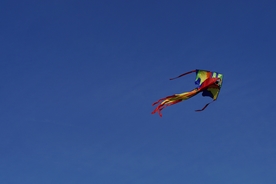 风筝纸鸢鹞子图片