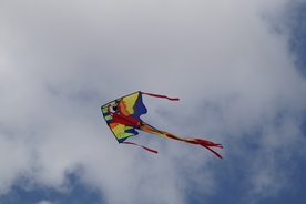 风筝纸鸢鹞子图片