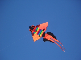 风筝纸鸢鹞子图片