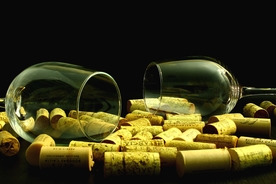 酒塞瓶塞木塞塞子图片