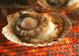 海鲜烧烤扇贝鲍鱼图片