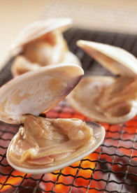 海鲜烧烤扇贝鲍鱼图片