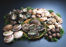 扇贝贝壳海鲜图片