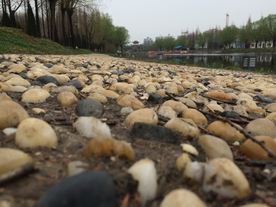 鹅卵石