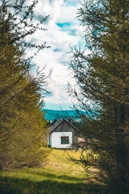 森林田野小房子