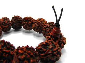 五瓣金刚菩提佛珠手链