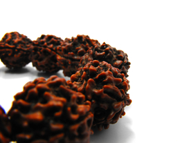 五瓣金刚菩提佛珠手链