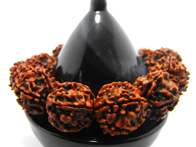 五瓣金刚菩提佛珠手链