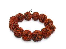 五瓣金刚菩提佛珠手链