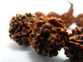 五瓣金刚菩提佛珠手链