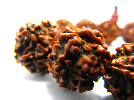 五瓣金刚菩提佛珠手链