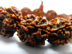 五瓣金刚菩提佛珠手链