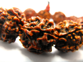 五瓣金刚菩提佛珠手链