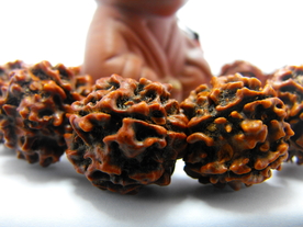 五瓣金刚菩提佛珠手链