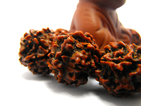 五瓣金刚菩提佛珠手链