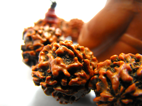 五瓣金刚菩提佛珠手链