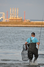 钓鱼垂钓捕鱼抓鱼图片