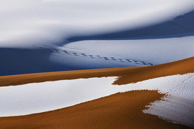 质感底纹  地产元素 纯金底纹