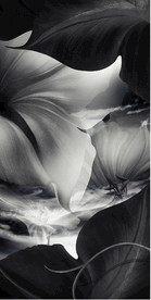 质感底纹  地产元素 纯金底纹