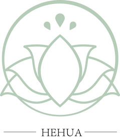 荷花 花瓣 白描 线条 拼接