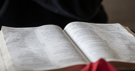 阅读看书生活图片