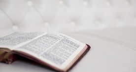 阅读看书生活图片