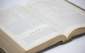 阅读看书生活图片