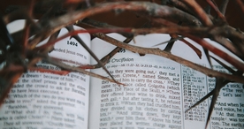 阅读看书生活图片