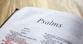 阅读看书生活图片