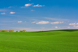 田园田野绿色原野图片