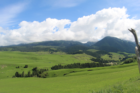 田园田野绿色原野图片