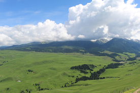 田园田野绿色原野图片