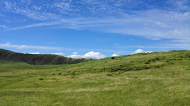 田园田野绿色原野图片