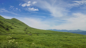 田园田野绿色原野图片