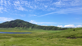 田园田野绿色原野图片