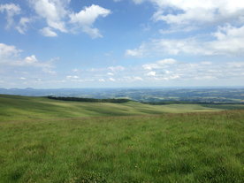 田园田野绿色原野图片