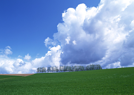 田园田野绿色原野图片