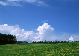 田园田野绿色原野图片