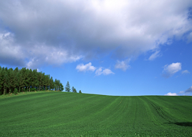 田园田野绿色原野图片