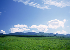 田园田野绿色原野图片