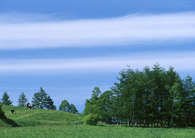 田园田野绿色原野图片