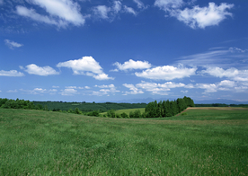 田园田野绿色原野图片