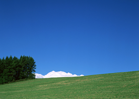 田园田野绿色原野图片