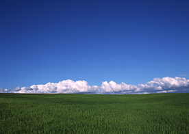 田园田野绿色原野图片