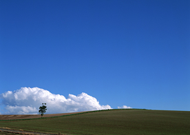 田园田野绿色原野图片