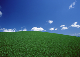 田园田野绿色原野图片