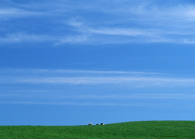 田园田野绿色原野图片